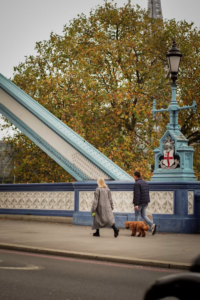 A couple walking their dog across a London bridge in autumn